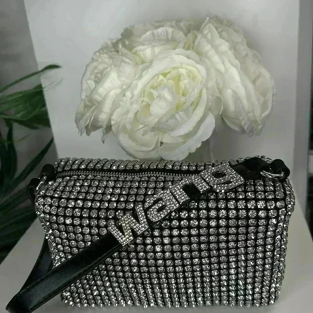 ✨ Alexander Wang Rhinestone Mesh Pouch - Picture 4 of 8